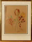 tulpen by Ongesigneerd 18e eeuw aquarel op papier met tulpen, Ongesigneerd 18e eeuw aquarel op papier met tulpen, sold Apr 2015