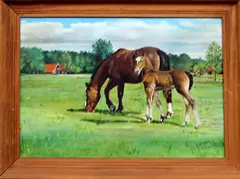 Schilderij v. de Meer, paarden, Schilderij v. de Meer, olieverf op linnen, landschap met paard en veulen 50x70cm