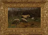 John Hulk, schapen, Johannes Frederik Hulk ( 1829 - 1911 Haarlem), olieverf op linnen, landschap met schapen in wei 48x30cm