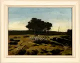 Onduidelijk gesig., schapen