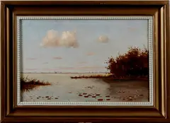 Marinus Zwart, loosdrechtse plassen, Marinus Zwart (Amsterdam 1882 - Laren), olieverf op linnen, loosdrechtse plassen met waterlelies 40x60cm