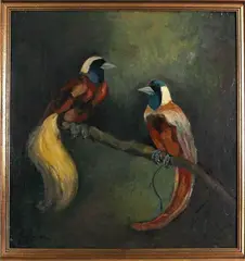 J. Pieneman, tropische vogels, Johanna Hendrika Pieneman (1889 Amsterdam), olieverf op karton, paradijsvogels 65x60cm