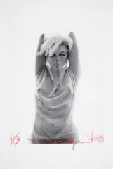 "Marilyn Veiled" by Bert Stern, Pigment Print, sold Nov 2015