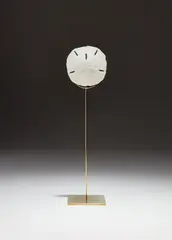 Carol Bove, Sand Dollar Sculpture, 2008, sand dollar and brass