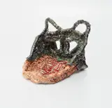 Sterling Ruby, Gator