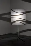 Ólafur Elíasson, Shadow Lamp, 2005, translucent acrylic glass, stainless steel, halogen bulb, motor and tripod