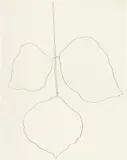 Ellsworth Kelly, Coral Leaf (1), 1987, graphite on paper