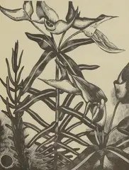 Untitled by John Nash, Caper spurge wood engraving on Renker's Ingres paper, sold Oct 2024