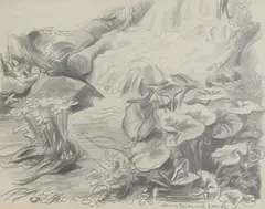 Hans Feibusch, Untitled, pencil 20.5 x 24.5cm