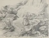 Hans Feibusch, Untitled, pencil 20.5 x 24.5cm