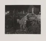 Mark Wallinger, Untitled, Untitled (Pantomime Horse) gelatin silver print