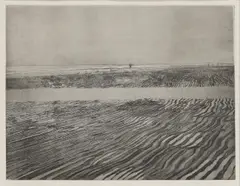 Peter Coker, Untitled, 'Seascale' etching and aquatint