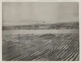 Peter Coker, Untitled, 'Seascale' etching and aquatint
