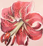 Lowell Nesbitt, Red Lily
