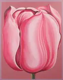 Lowell Nesbitt, Pink tulip