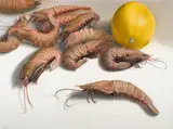 Mary Ann Currier, Rock shrimp, 1985, oil pastel on paperboard