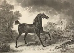 Carle Vernet, Selected Equestrian Images, 1830s, Four aquatints on wove paper, each titled in the plate
