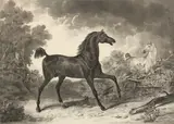 Carle Vernet, Selected Equestrian Images, 1830s, Four aquatints on wove paper, each titled in the plate