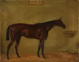 G. Faulkner, A horse in a stable, oil on canvas