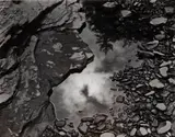 William Giles, Selected Images from Mother of Pearls Portfolio, 1967-73, Four gelatin silver prints, each mounted