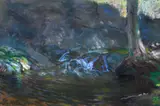 Theodore N. Lukits, Forest Interior, pastel on paper
