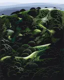 Eyvind Earle, California