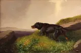 G. Garland, Dog on a hill, oil on canvas