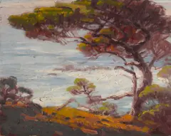Monterey cypress by Sam Hyde Harris, oil on canvas board, sold Aug 2012