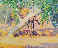 William Clapp, Great diagonal trunk, oil on masonite