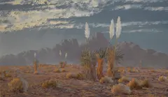 Lilian's moonlit yuccas, Wickenburg, Arizona by John William Hilton, oil on board, sold Aug 2012