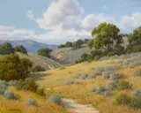 David Chapple, May hillside