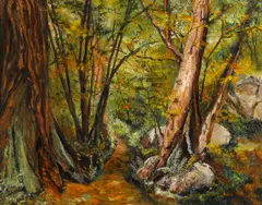 Rita Hoffman Shulak, Redwood wilderness, oil on canvas