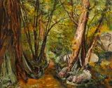 Rita Hoffman Shulak, Redwood wilderness, oil on canvas