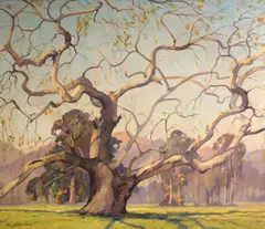 Carl Hoerman, California sycamore, oil on canvas