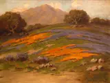 Alexis Matthew Podchernikoff, Wildflowers on a hill with Mount Tamalpais beyond