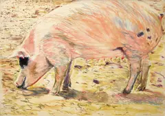 Bill Sullivan, Pink pig, 1970, pastel on paper
