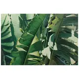 Armando Zesatti, Hojas verdes, 1997, Acrílico sobre tela