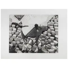 La vaca de las mil cubetas by Francisco Toledo, 1973, Grabado al aguatinta, ruleta y aguafuerte 15 / 25, offered Aug 2026