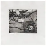 Francisco Toledo, Chapulines con calavera, 2012, Grabado al aguatinta y aguafuerte 4 / 14