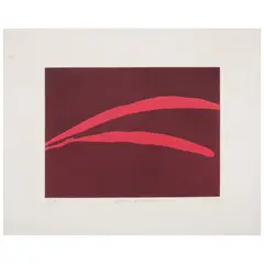 XV, de la serie After Nature by Jan Hendrix, 2004, Grabado al aguafuerte 3 / 3 P / I, sold Jun 2026