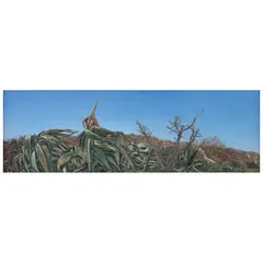 Nicolás Moreno, La barda y los magueyes, 2002, Óleo sobre tela sobre madera