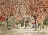 Tom Nisbet, Spring Blossom, Mount Merrion