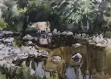 Tom Nisbet, CATTLE by A RIVER, Watercolours
