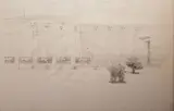 Colin Harrison, Dogs In A Corridor, Pencil