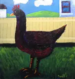 Graham Knuttel, Rooster