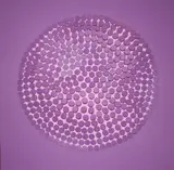 Alexandra Wejchert, Circular Magenta, Patterned dowel