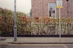 Leo Byrne, How Football Changed The World, Photograph