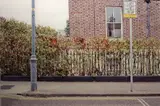 Leo Byrne, How Football Changed The World, Photograph