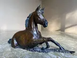 Foal by Zita Hartigan, Bronze, sold May 2020