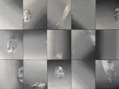 Louis le Brocquy, LIFE STUDY (in 15 parts), Oil on canvas